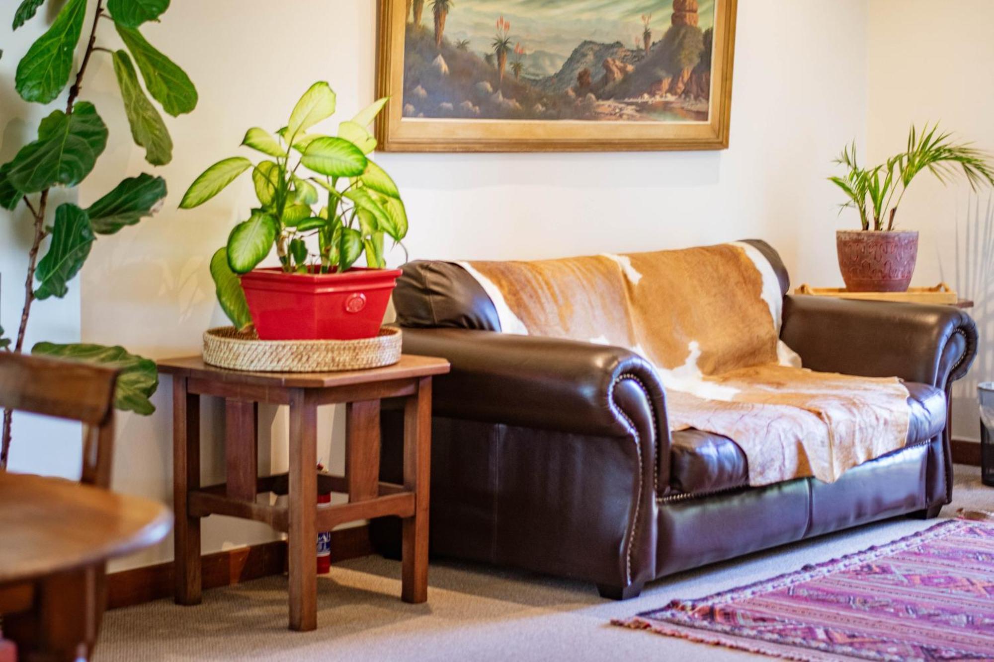 5 Seasons Guest House Стелленбос Экстерьер фото